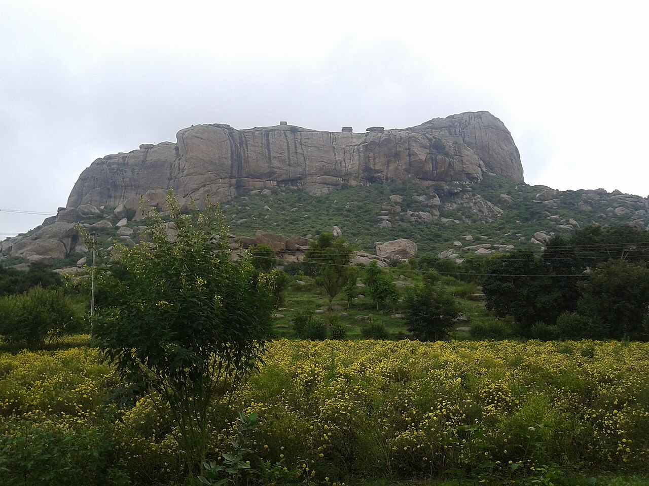 The Krishnagiri Reservoir Project (KRP) dam on the Thenpennai river