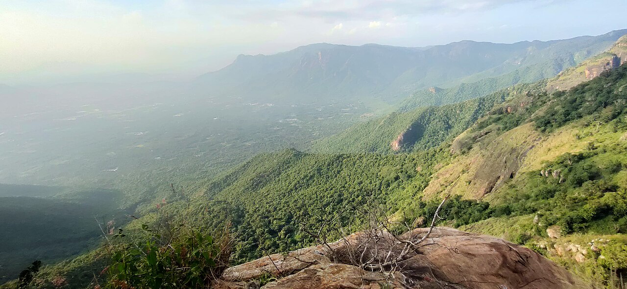 A scenic view of the forested Kolli Hills range in the Eastern Ghats.