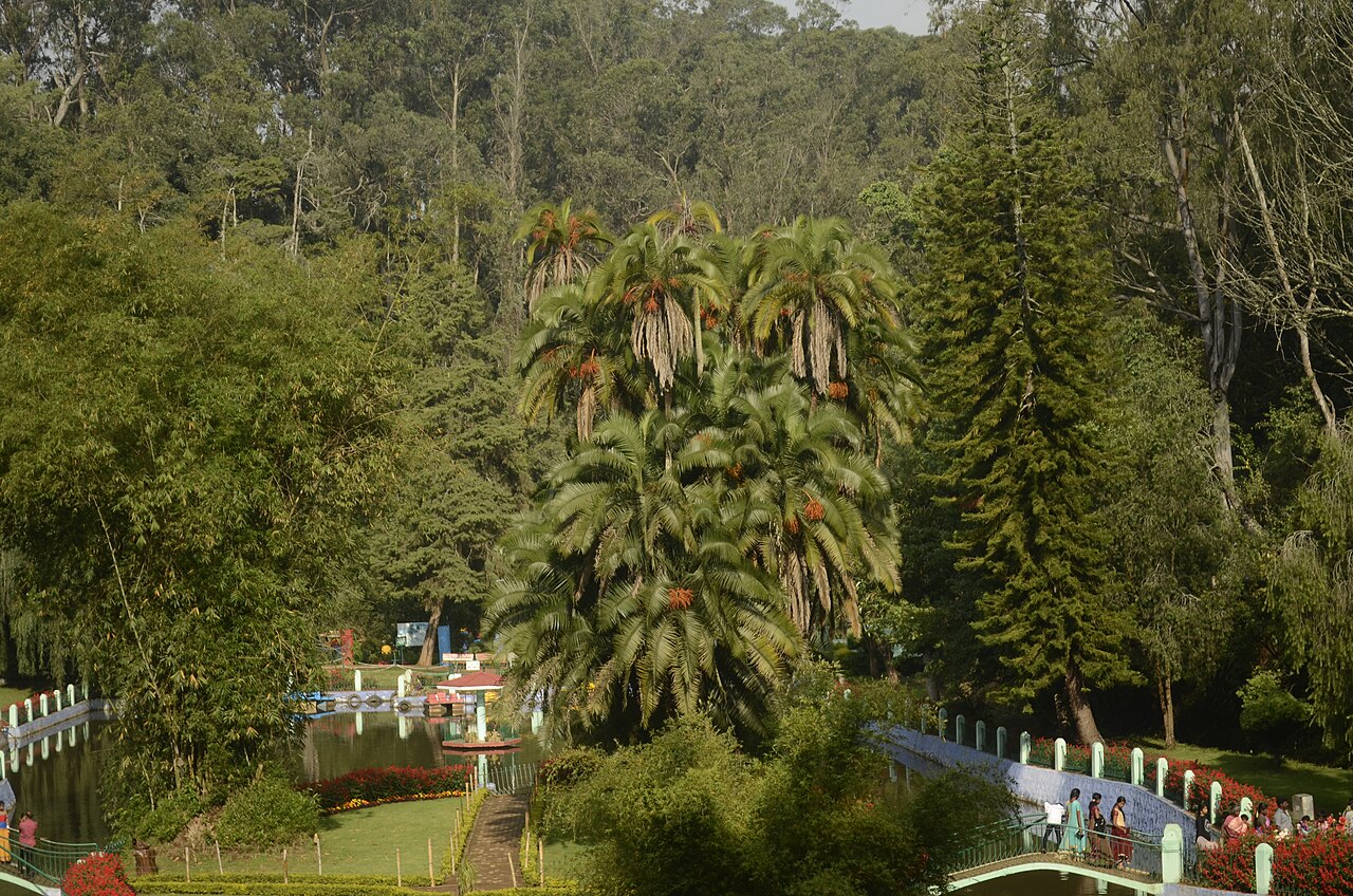 Sim's Park, the botanical garden in Coonoor known for its rare plant species.