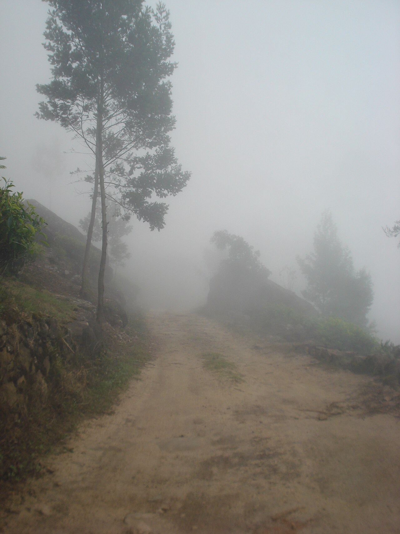 Kolukkumalai, home to what is described as the world's highest-altitude tea plantation.