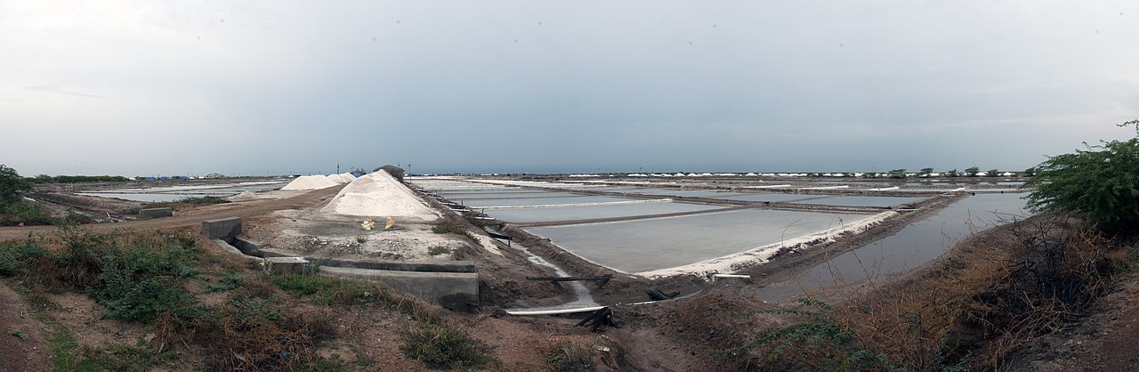 The geometric patterns of Tuticorin's salt pans, the backbone of the district's industry.
