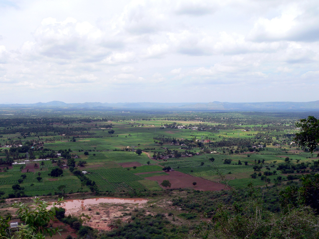 Farmland in the valley seen from the Yelagiri hills