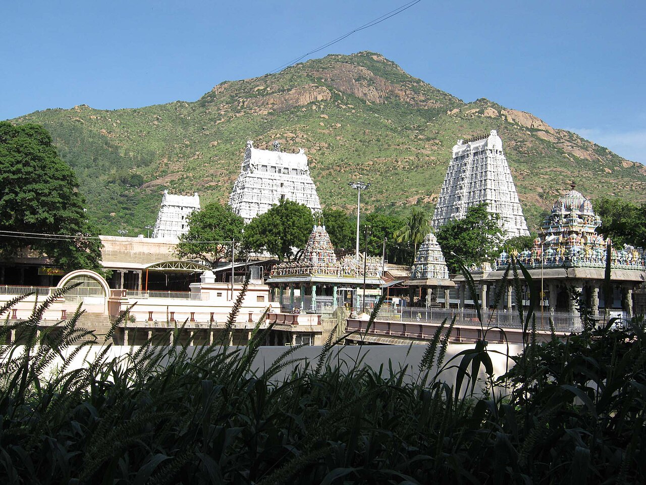The Arunachaleswarar temple complex set against the sacred Annamalai hill.