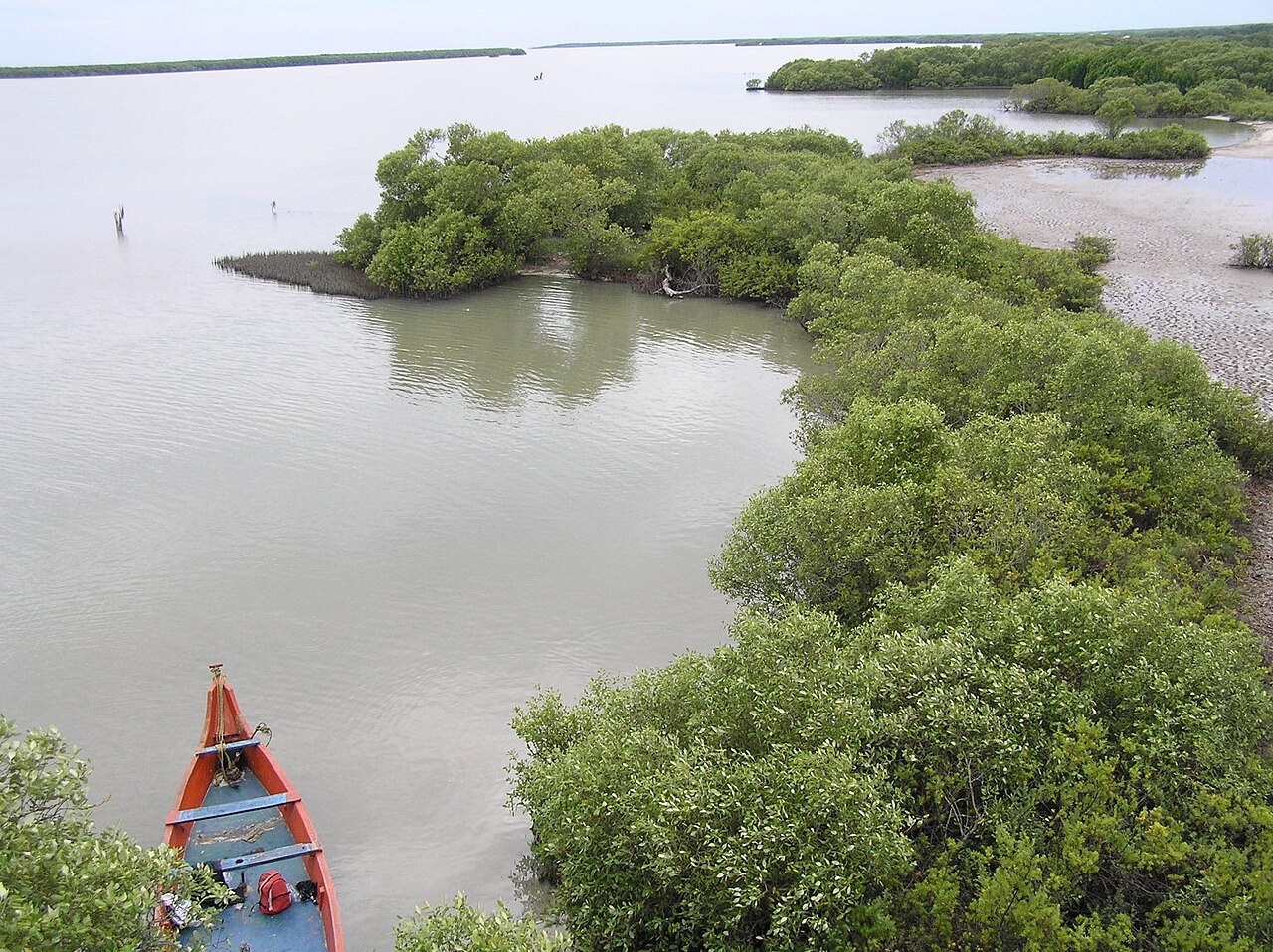 Fringing mangroves and mudflats of the Muthupet lagoon on the district's coastal edge.